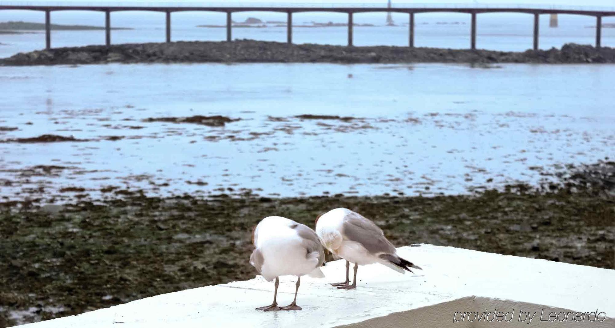 Ibis Roscoff Otel Dış mekan fotoğraf